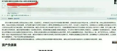 18岁女ceo的 神奇百货 官网停止访问,投资人表示已放弃